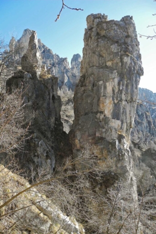 Rosalba-3